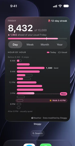 The Story widget in pink on the Home Screen: the progress bar and today’s hour-by-hour bars.